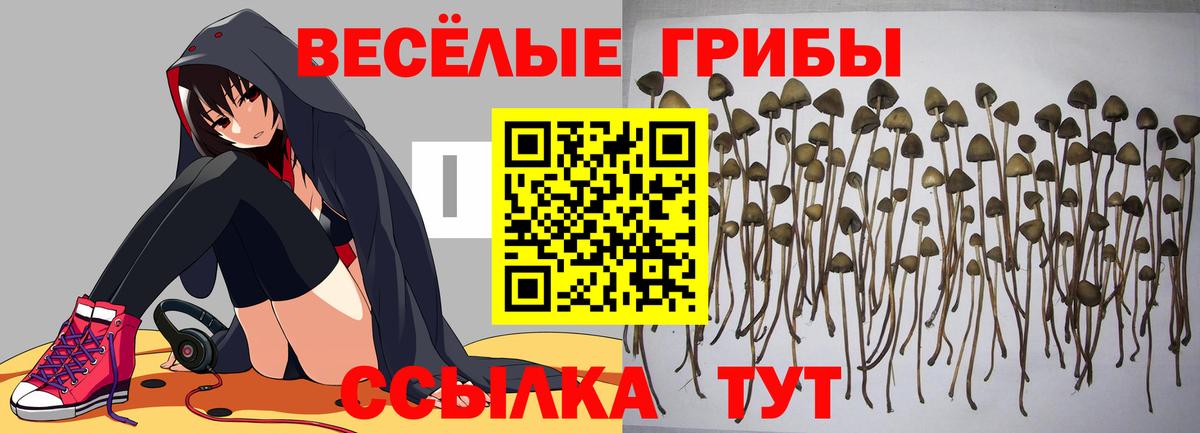 Жигулёвск  Галлюциногенные грибы мухоморы  Вход с VPN 