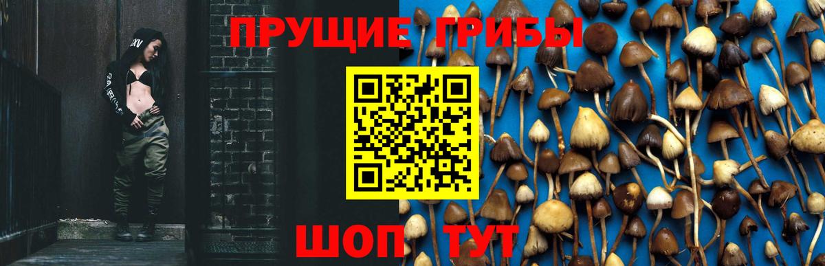 Галлюциногенные грибы Cubensis Жигулёвск